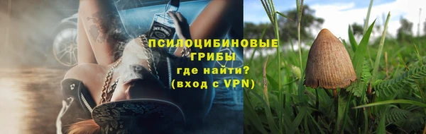 индика Аркадак