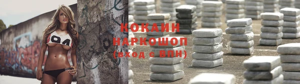 индика Аркадак