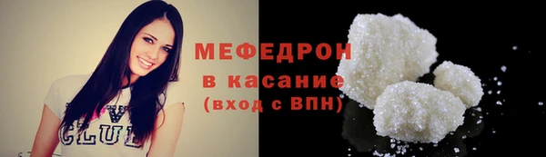 индика Аркадак