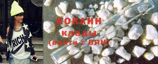 индика Аркадак