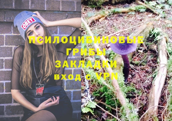 индика Аркадак