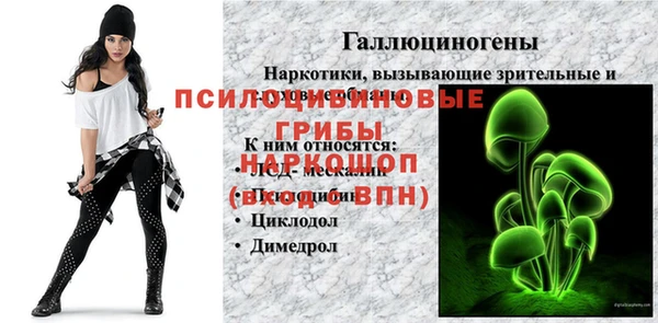 стаф Армянск