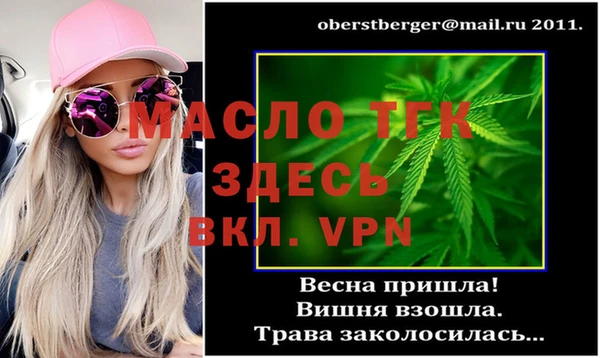 индика Аркадак