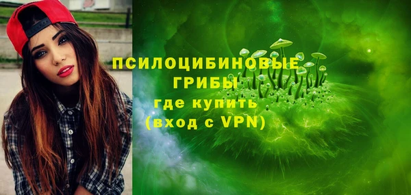 индика Аркадак