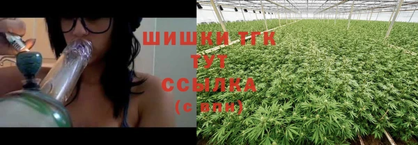 индика Аркадак