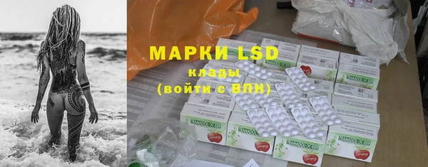 индика Аркадак